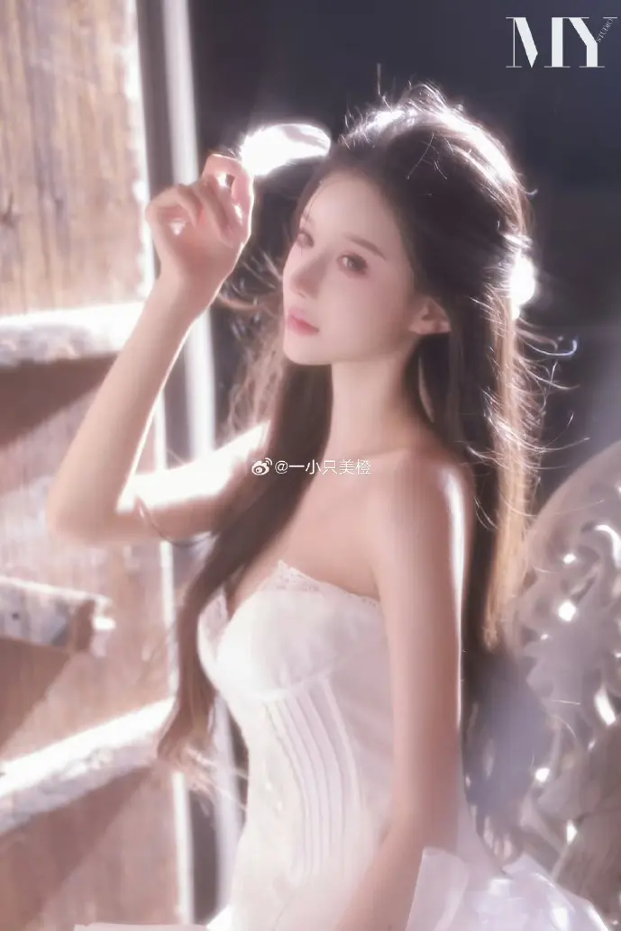 视频下载站数据分析